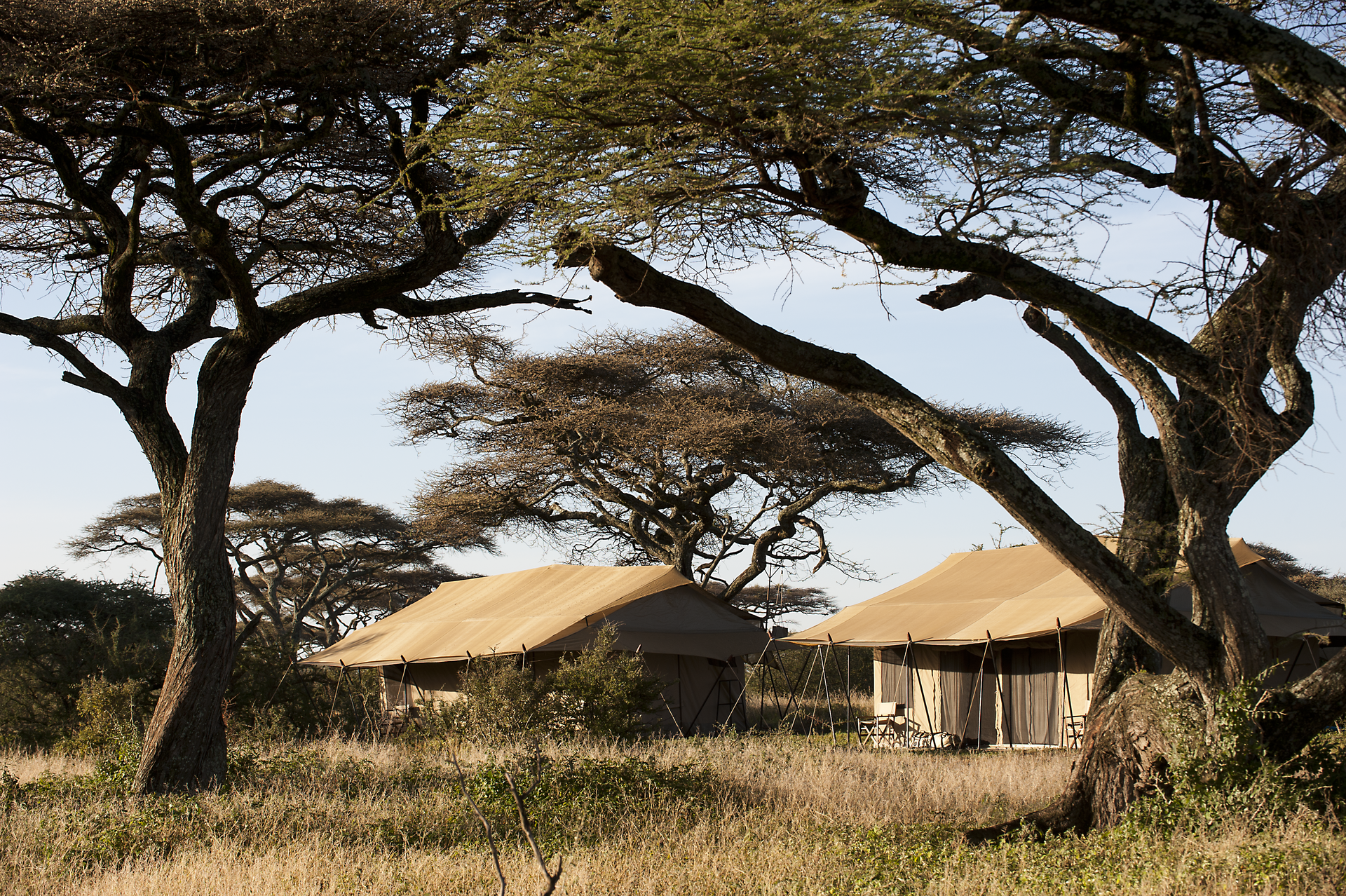 Serengeti Süden – Geeignet Dez-Mär