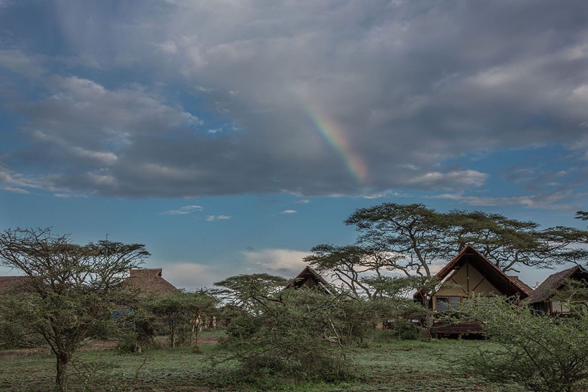 Serengeti Süden – Geeignet Dez-Mär