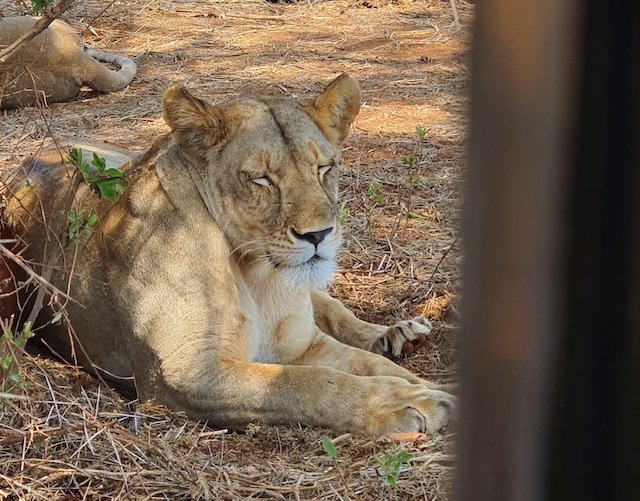 Röder-August-2022-Sonnenaufgang Röder-August-2022-Sonnenaufgang