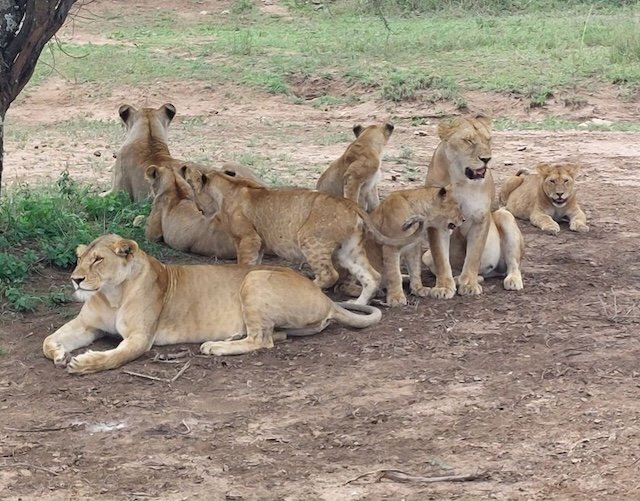 Röder-August-2022-Sonnenaufgang Röder-August-2022-Sonnenaufgang