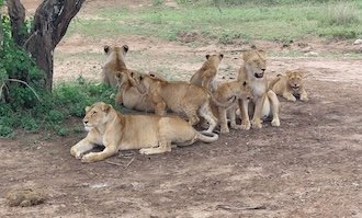 Röder-August-2022-Sonnenaufgang Röder-August-2022-Sonnenaufgang