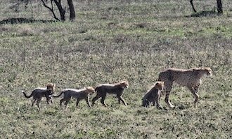 Röder-August-2022-Sonnenaufgang