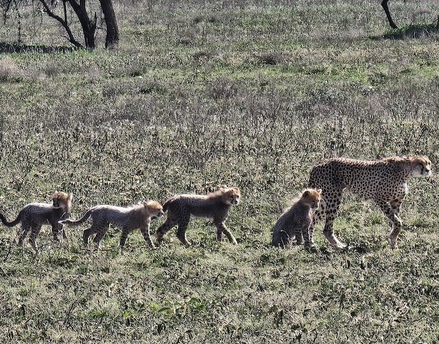Röder-August-2022-Sonnenaufgang