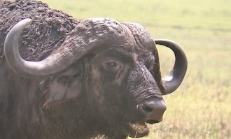 Röder-August-2022-Sonnenaufgang Röder-August-2022-Sonnenaufgang