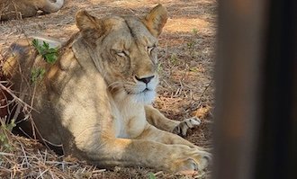 Röder-August-2022-Sonnenaufgang Röder-August-2022-Sonnenaufgang