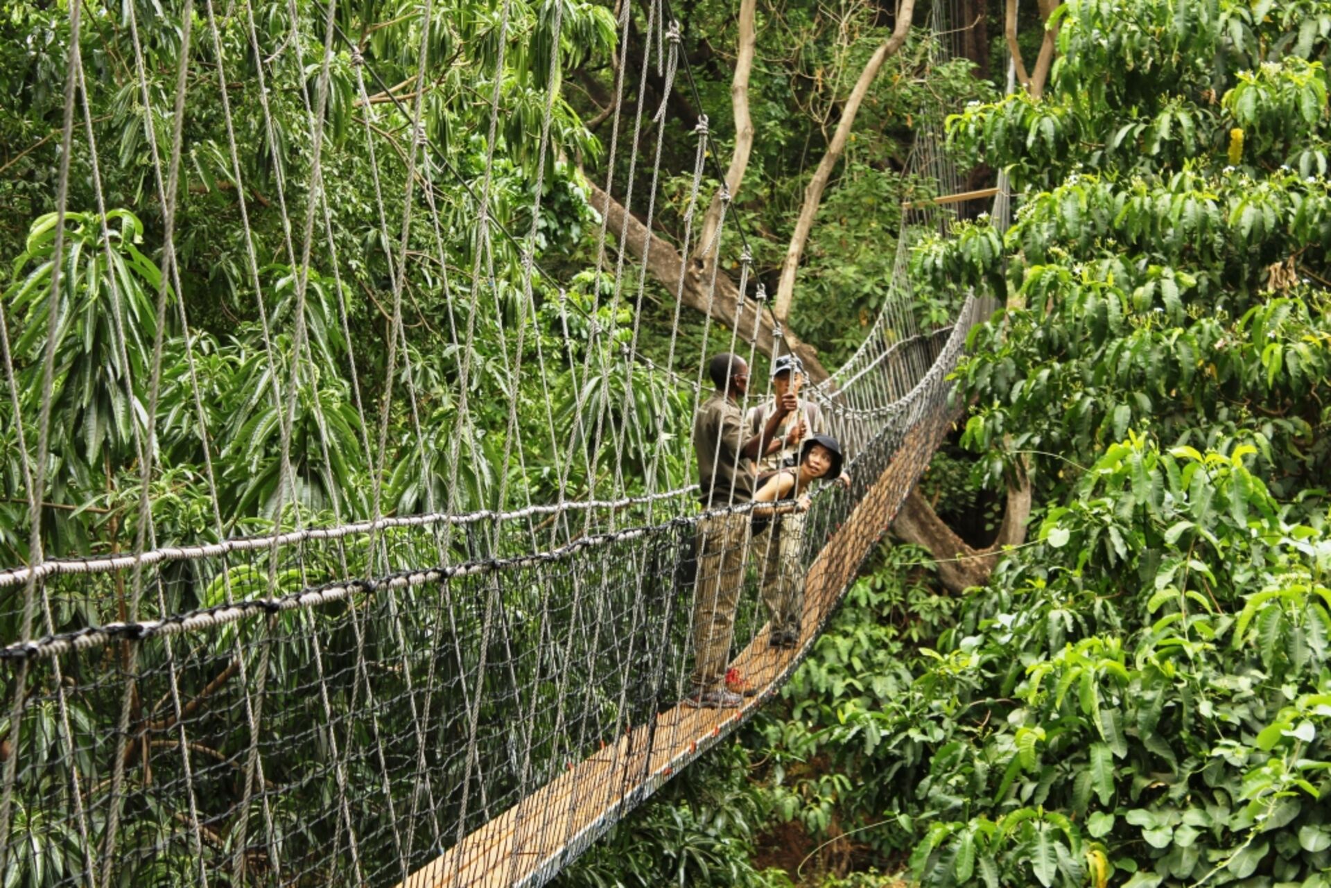 Hoch hinaus über Manyara