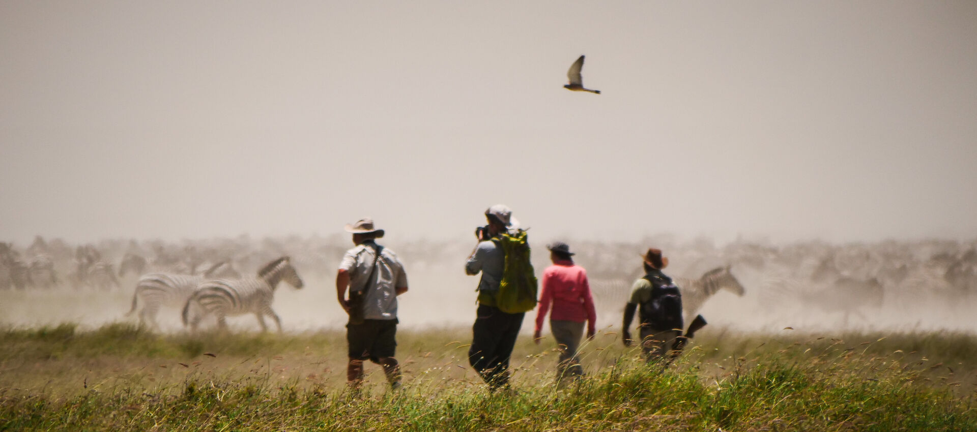 Schritt für Schritt