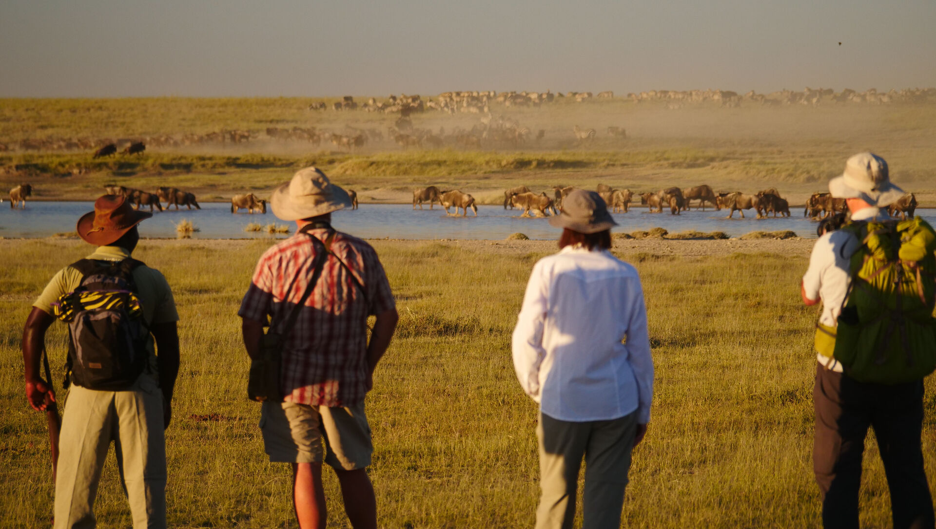 Walking Safari