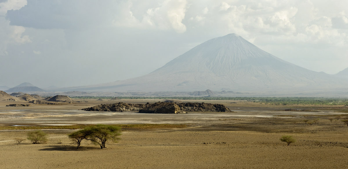 Schritt für Schritt