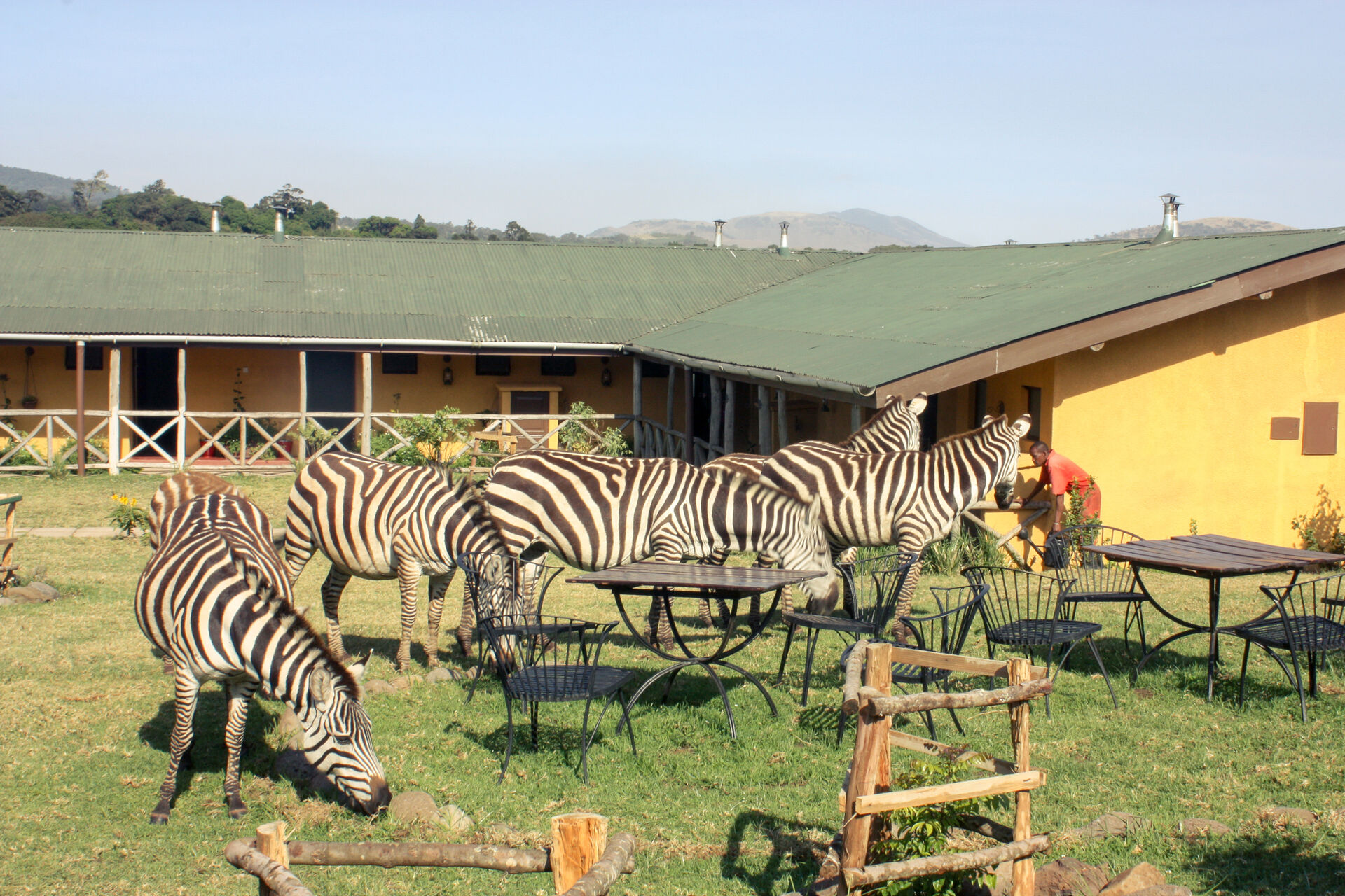 Unterkünfte am Ngorongoro Krater