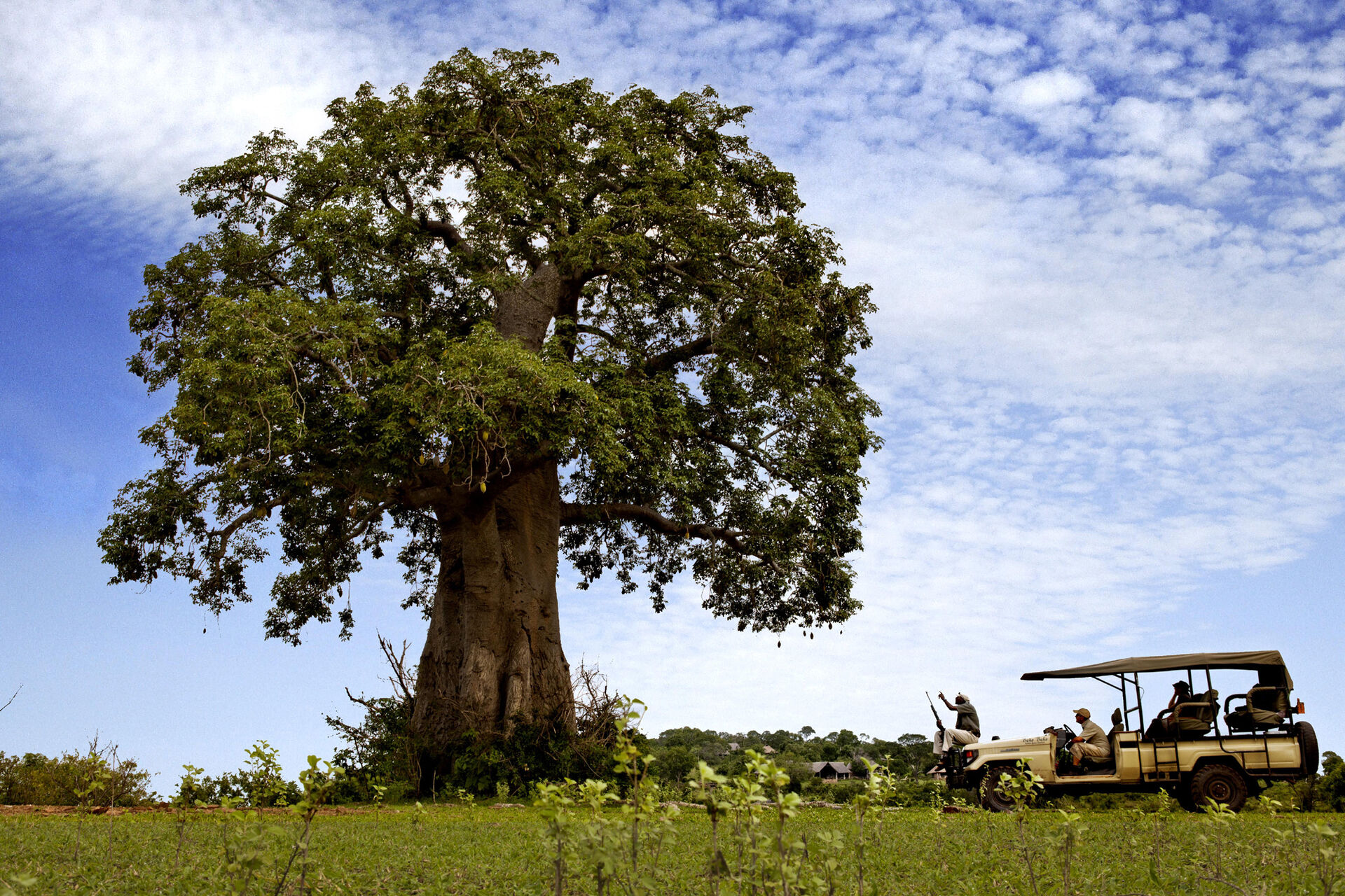 Unterkünfte im Selous/Nyerere Nationalpark